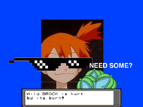 Rawst_berry.mp4