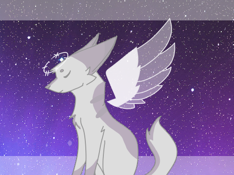  ○ Angels MEME ○ 