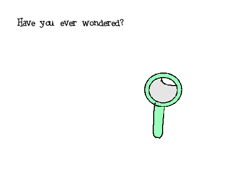 Have you ever wondered why....?