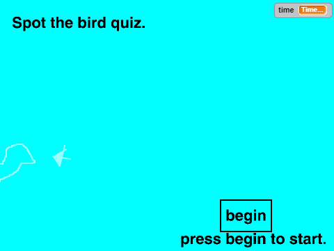 Spot the birds quiz