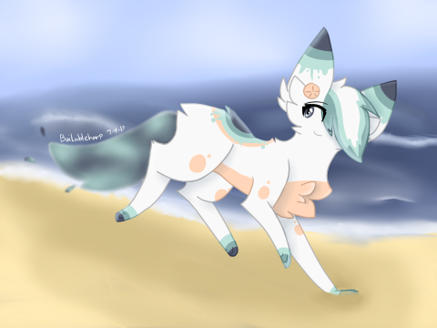 Summer DTAE