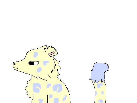 snow leopard