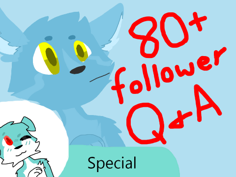 80+ Follower Special: Q and A!