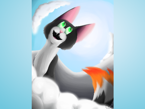 Into the Clouds