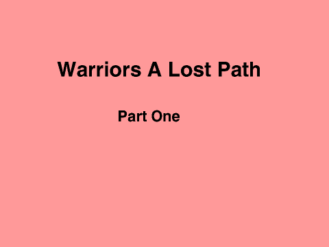 Warriors a lost path part one auditions 
