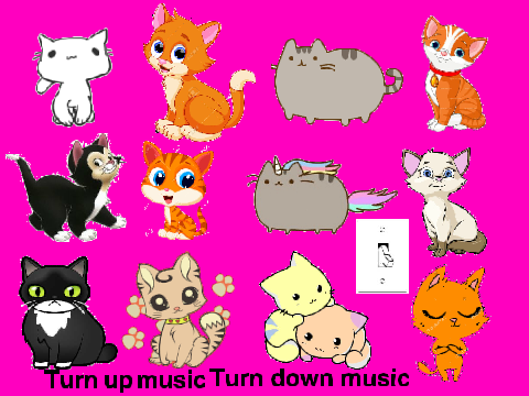 Adopt a cat!