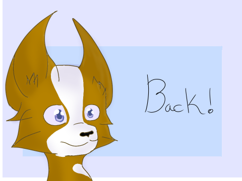 i'm back guys 