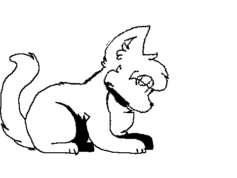 animation test