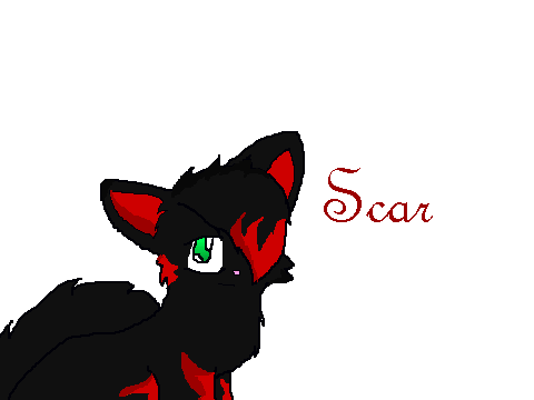 Scar