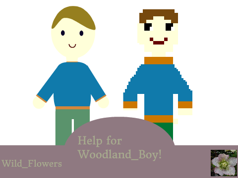 Help for Woodland_Boy - A clean-up!