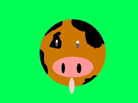 stare at the cow