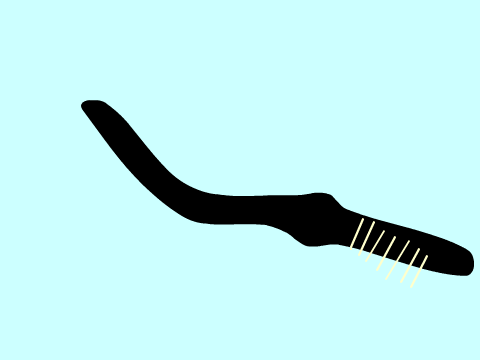Stupefy animation