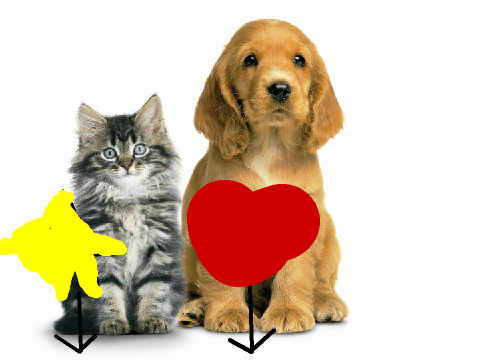 Dogs or Cats??