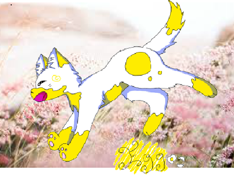 Egg \\ OC