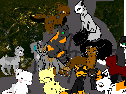 Warrior cat Gathering