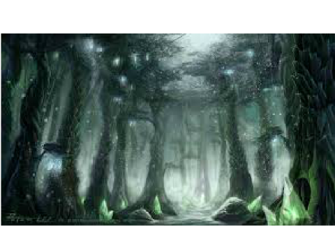 forest for fairy tail