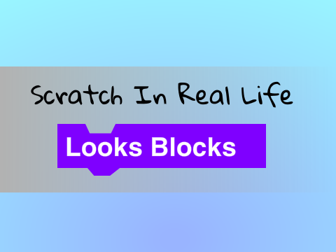 Scratch In Real Life #2: Looks Blocks