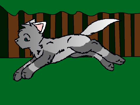 Cat Running Through Forest remix