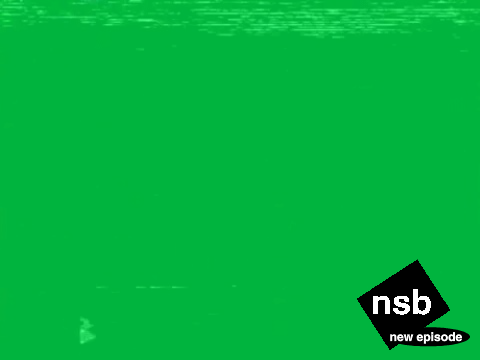 nsb 1992-1993 Bug (With Baseband Artifec)