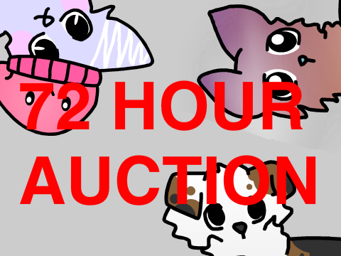 72 HOUR AUCTION - Palace of Points -