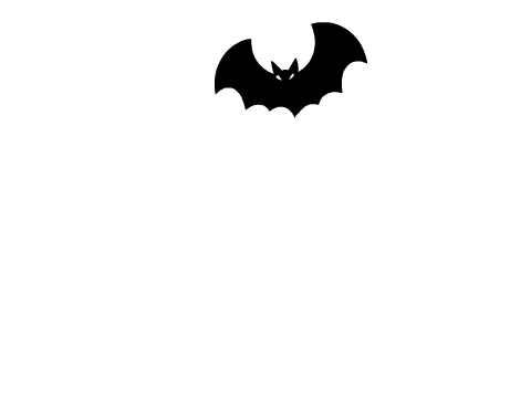 The Bat