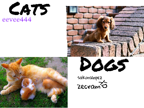 Cats VS Dogs!!!!!!!! Remix and sign! remix remix