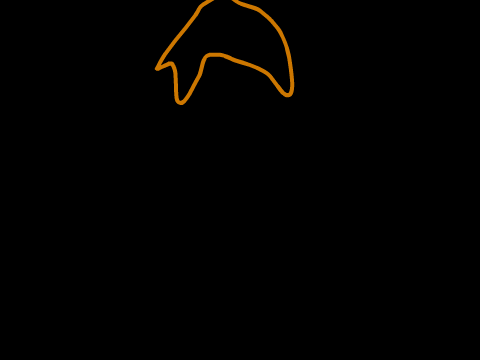 person speed draw