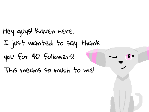 40 Follower 