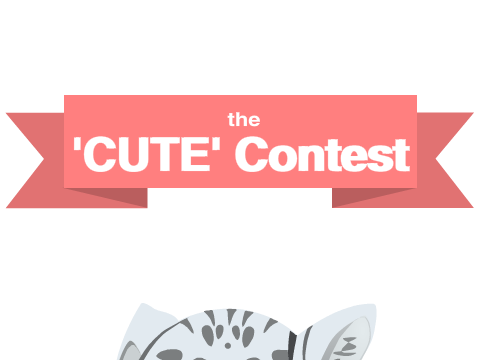 The 'CUTE' Contest vs. EquinoxCode
