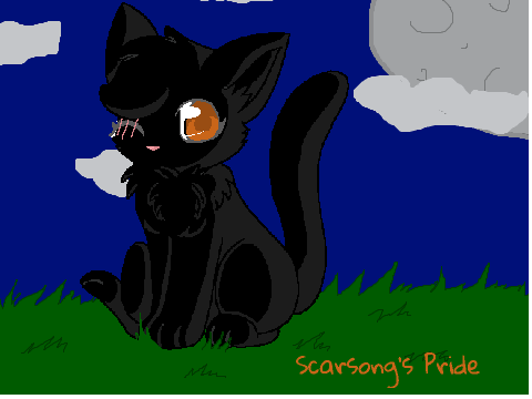 Chibi Warrior Cat CCE