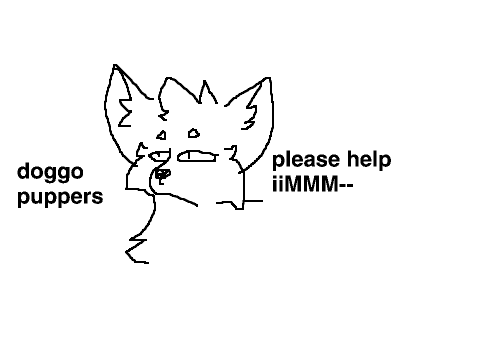 iMMM--