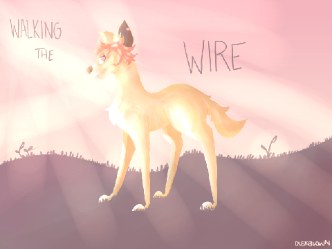 walking the wire / 30