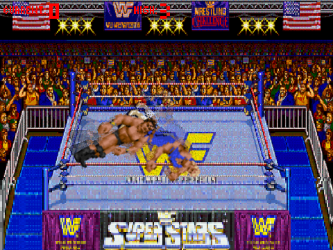 WWF Wrestlefest: Mr Perfect Edition