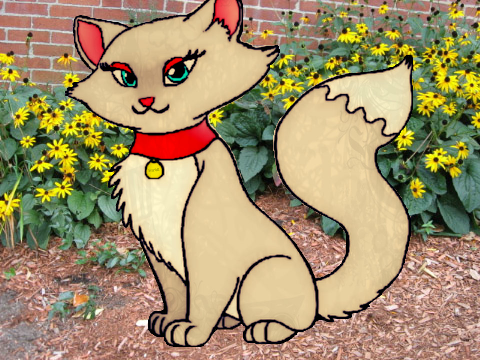 cce-Scarlett