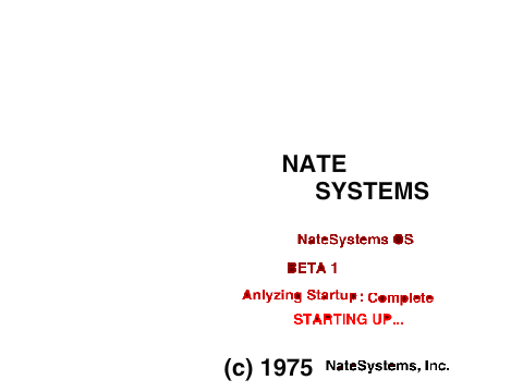 NateSystems History Part 1