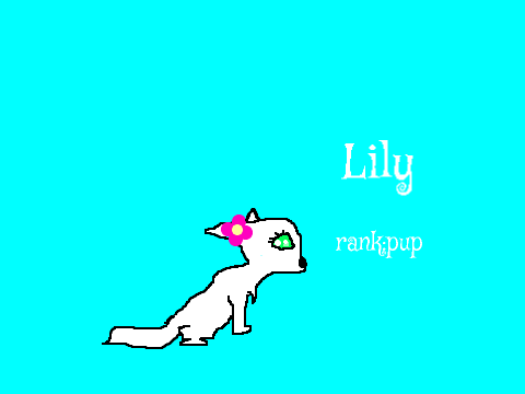 Lily:pup