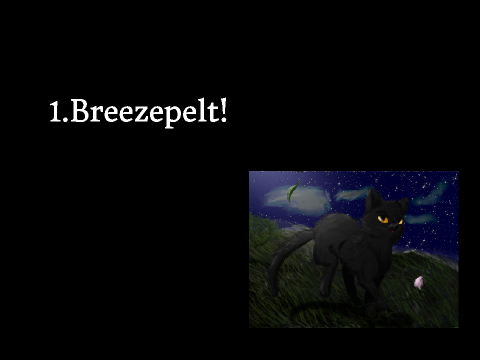 My Top 6 favourite Warrior Cats