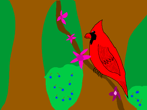 Cardinal