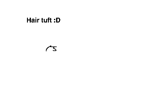 How to draw a cat :D