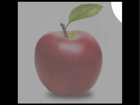 Hidden Image