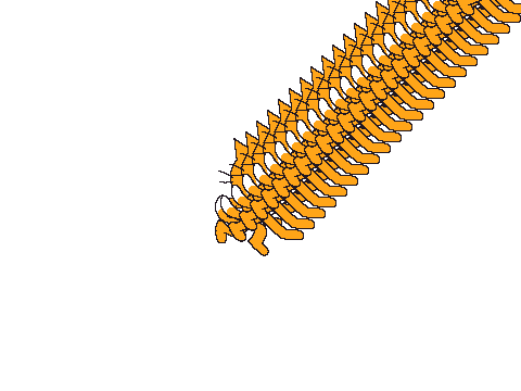 Another Scratch 1.0 Test
