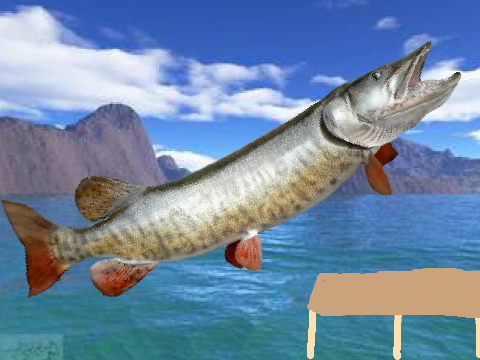 The Slider Muskie