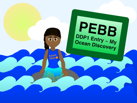 Pebb || Scratch Camp DDP1