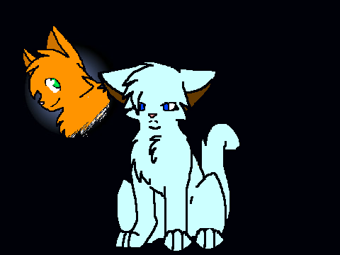 DriftFur Must Not Chase the Boys remix