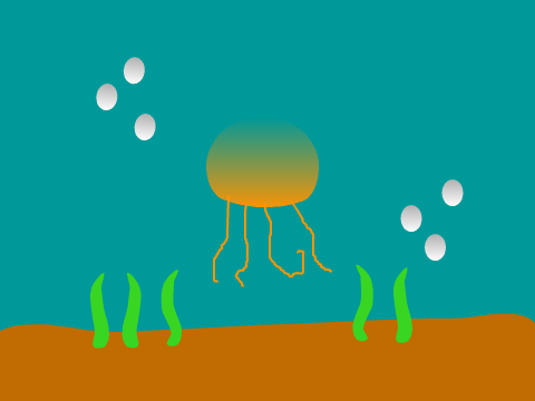 Jellyfish