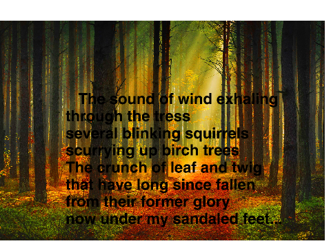 The Grove - A Poem