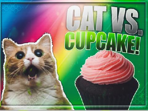 Cat vs. CUPCAKE!