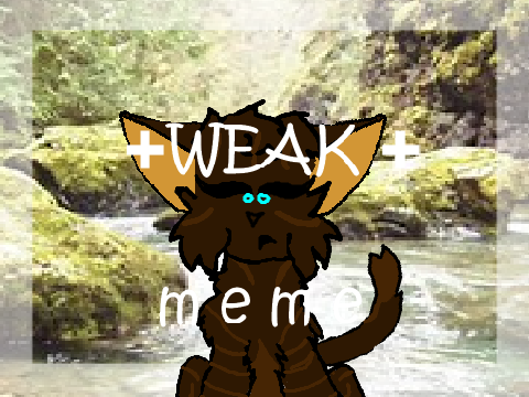 + Weak + Meme