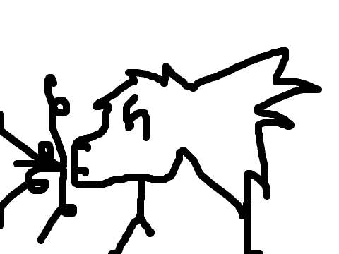 Animation CC