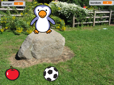 penguin pet